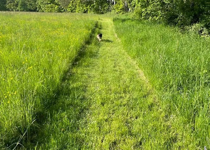 Dom wakacyjny De Fleur - Chateau Du Grand Lucay Bourbon-lʼArchambault